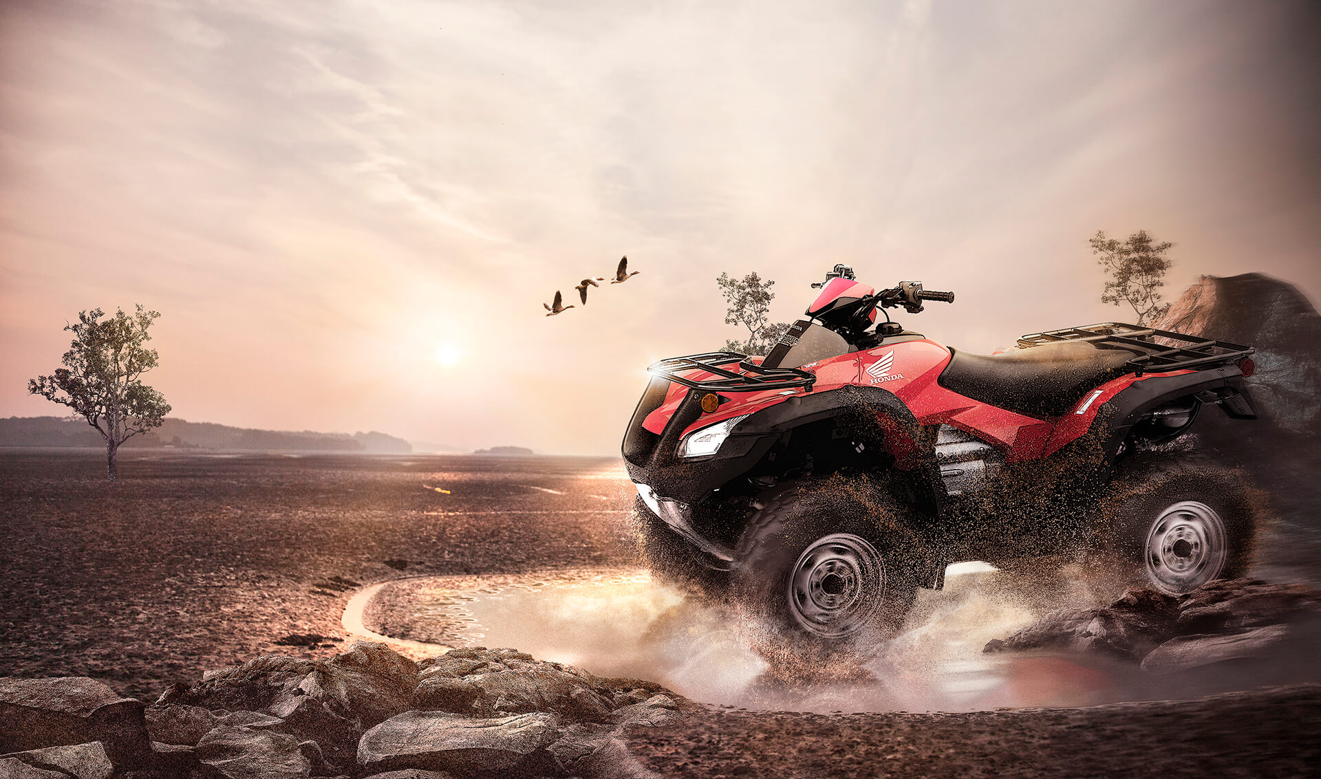 NEGOCIO ESPECIAL - TRX 680 FA